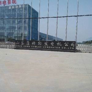 山（shān）東康姆勒發電機公司