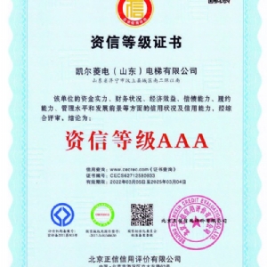 資質榮（róng）譽